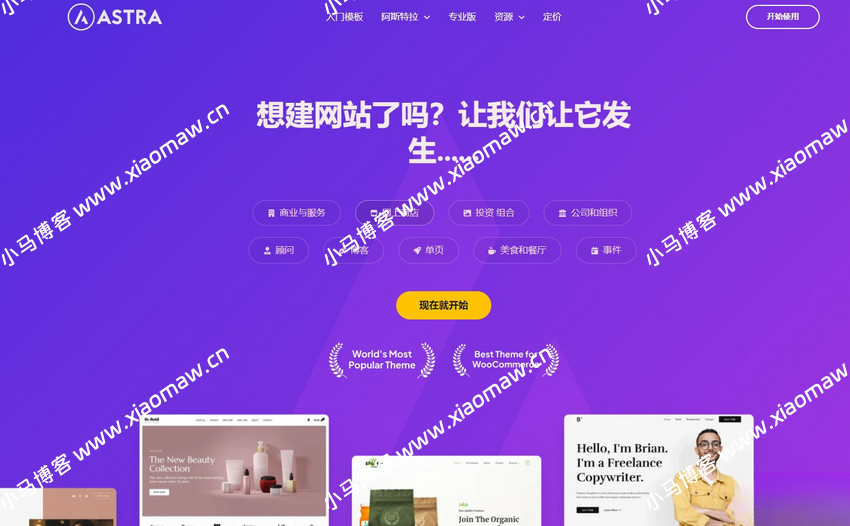 Astra独立站全套WordPress主题主题整理汉化版 带pro版插件