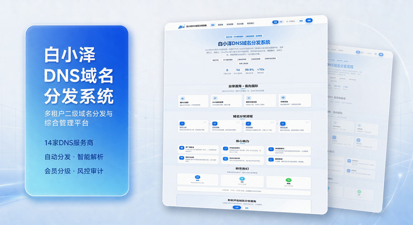 白小泽DNS域名分发系统 v1.0.0